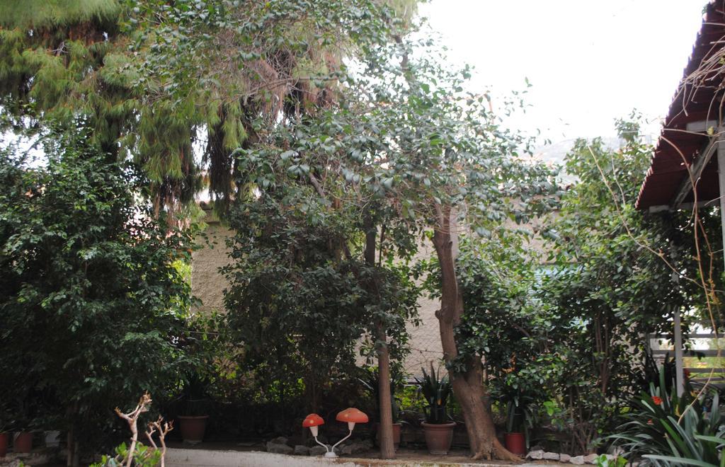Pension Alkistis Tolón Exterior foto